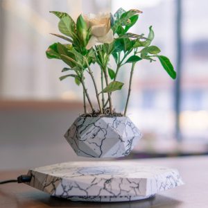 Chậu Cây Bay Lơ Lửng